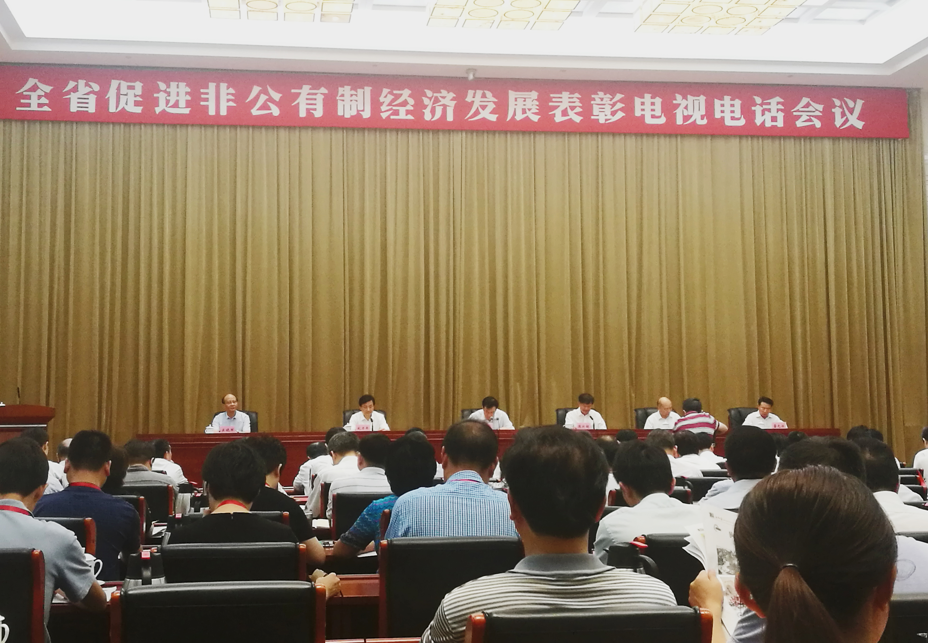 全省促進(jìn)非公有制經(jīng)濟(jì)發(fā)展表彰電視電話會議在昌召開